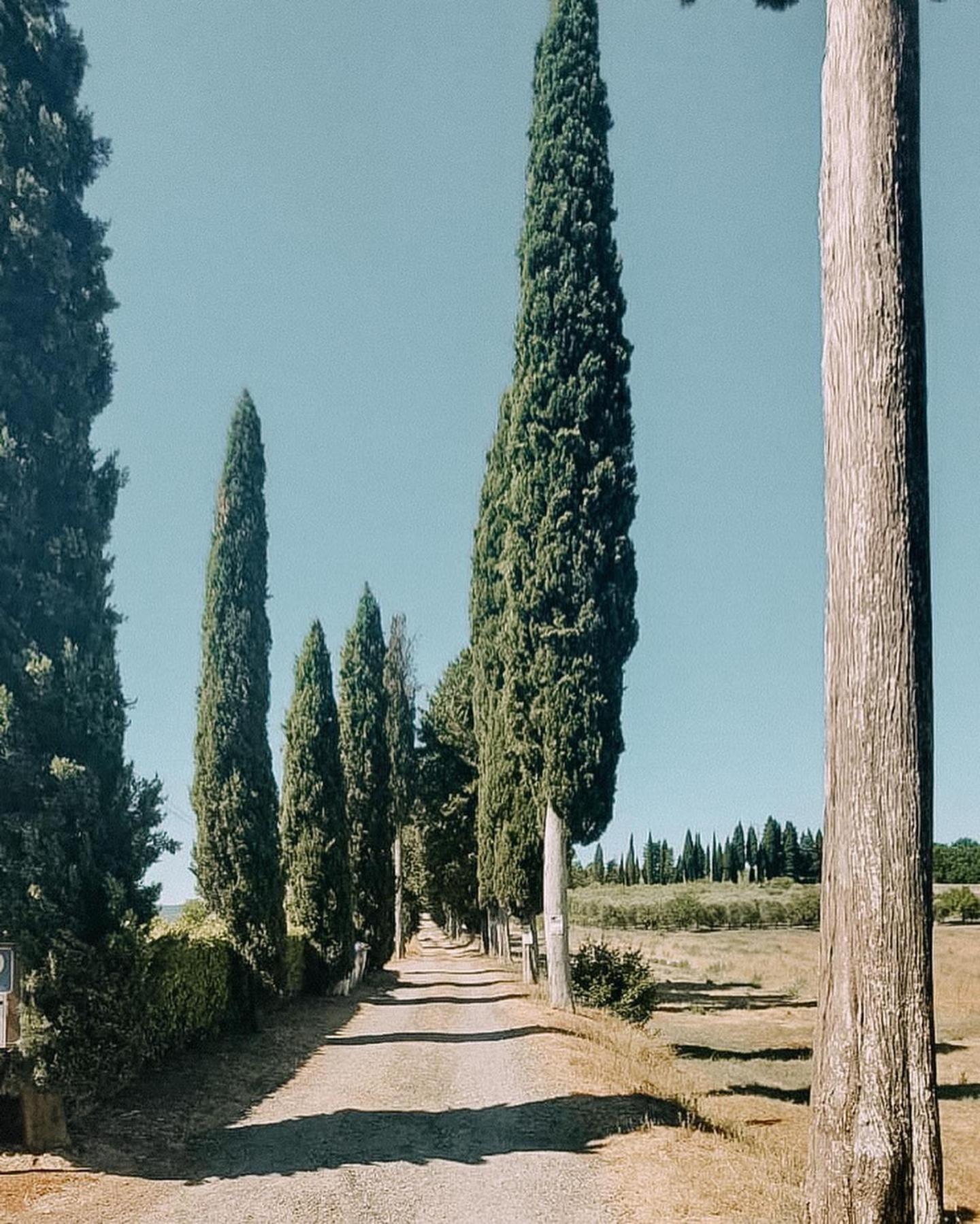 Agriturismo Terra Di Dio Toscanizzazione Capannoli Exterior foto